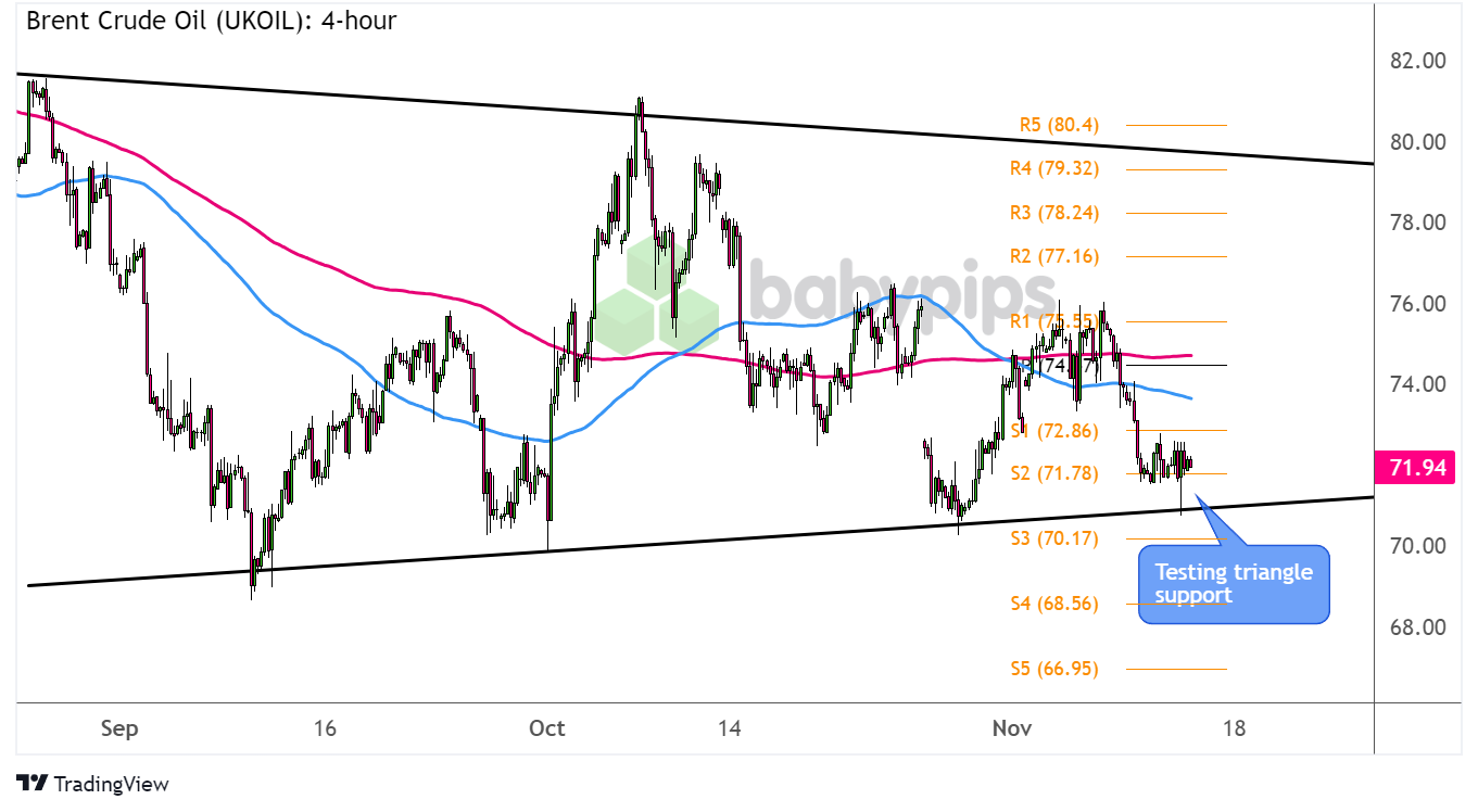 我市设施农业发展步伐加快